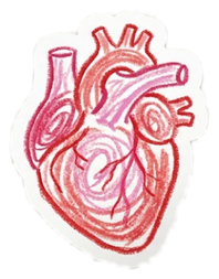 Corazón